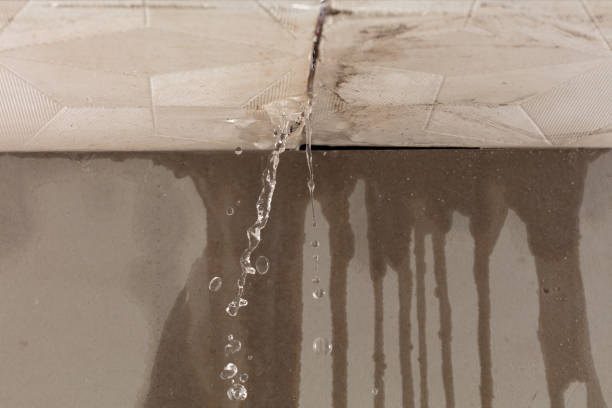 Professional Water Damage Repair technician working in Southport, IN